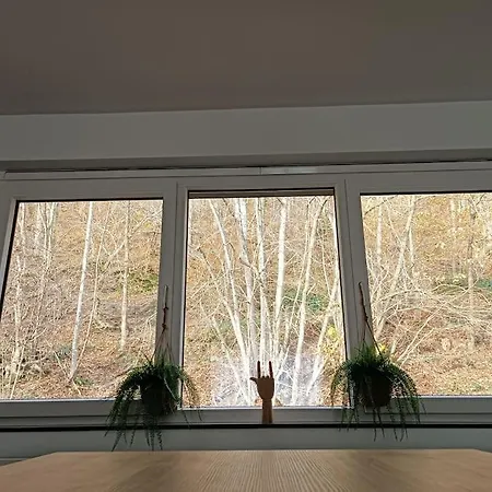 Leopold, Citadin Au Pied Des Bois! * Σπα