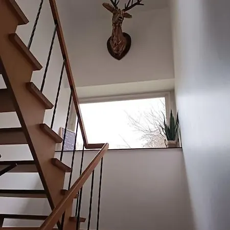 Hébergement de vacances Léopold, Citadin Au Pied Des Bois! Spa