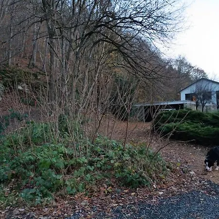 Leopold, Citadin Au Pied Des Bois! Spa