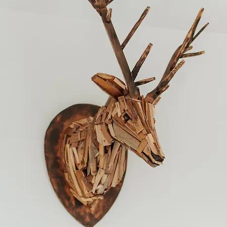 Σπίτι διακοπών Leopold, Citadin Au Pied Des Bois!