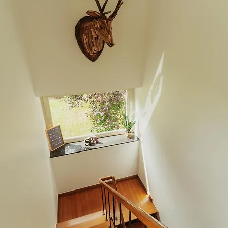 Léopold, Citadin Au Pied Des Bois! Casa vacanze